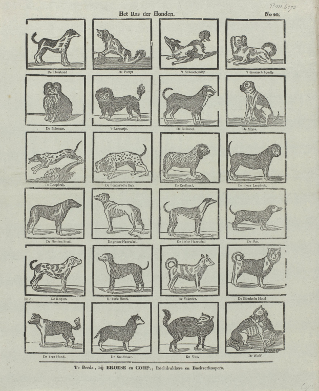 Ein offenes altes Buch, das Abbildungen und Beschreibungen verschiedener Hundewelpen zeigt.