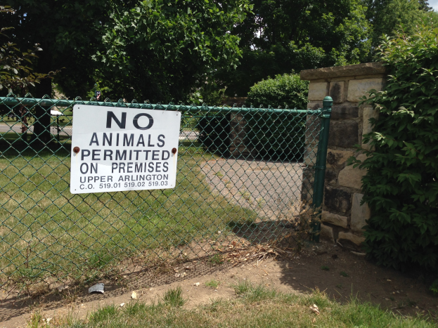 Ein Schild an einem Kettenzaun trägt die Aufschrift "Keine Tiere erlaubt" mit saftigem Grün, Pflanzen und Bäumen im Hintergrund, einer Wand und einem klaren blauen Himmel darüber.