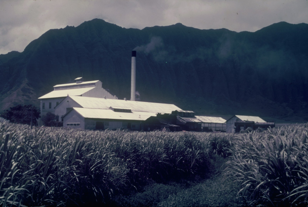 Altes Foto einer Zuckerfabrik in einem Feld mit Hügeln, Bäumen und einem Schornstein unter einem bewölkten Himmel, mit Text unten.