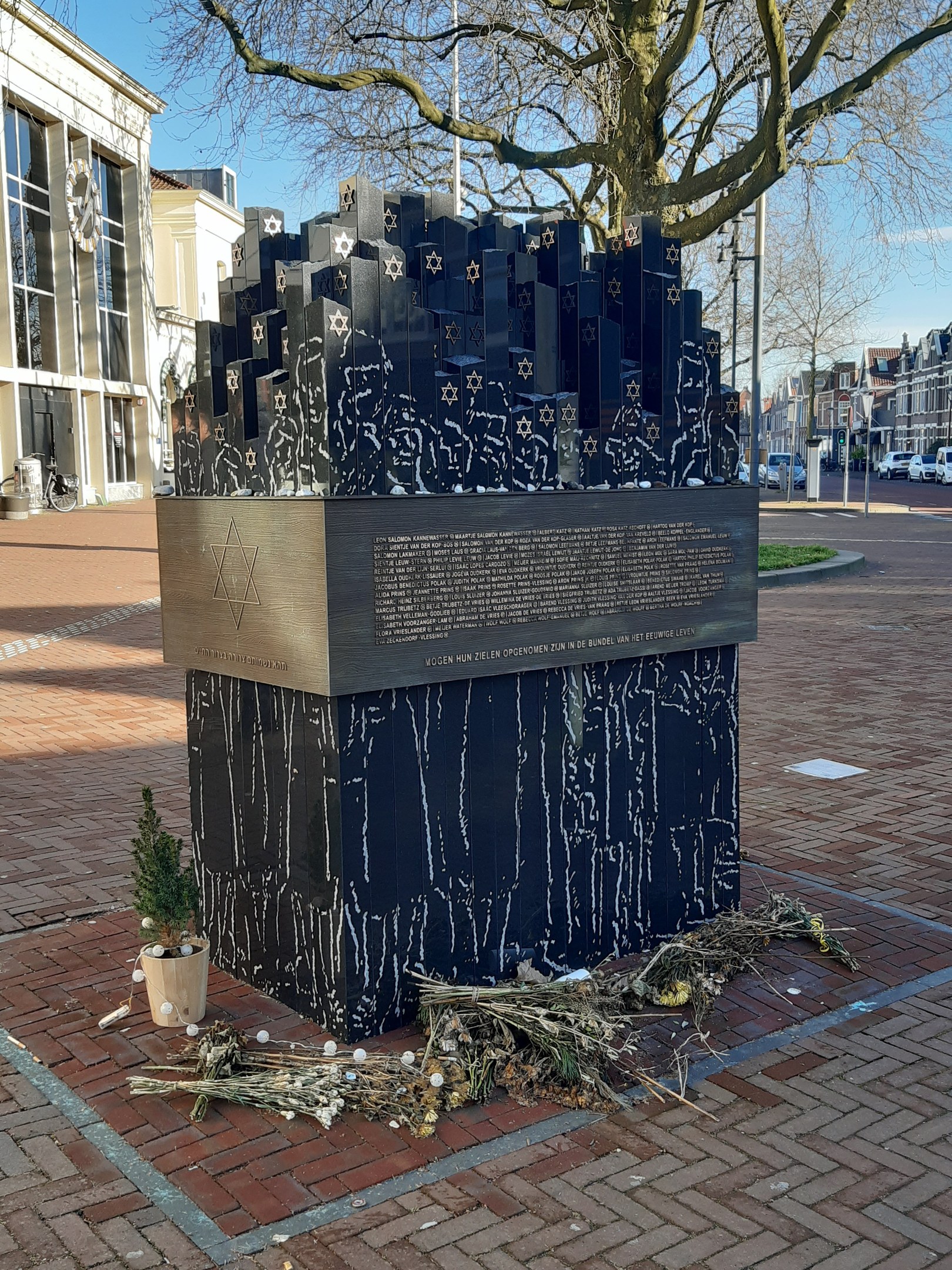 Stadtplatzgedächtnis für Holocaust-Opfer mit Baum vorne, Topfpflanze am Boden, verstreute trockene Blätter und umgebende Gebäude, Fahrzeuge, Mäste und Bäume.