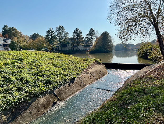 Kleiner Bach, der durch eine grüne Wiese neben einem Gewässer fließt, mit Bäumen und Pflanzen auf beiden Seiten, Gebäude im Hintergrund unter einem klaren blauen Himmel.