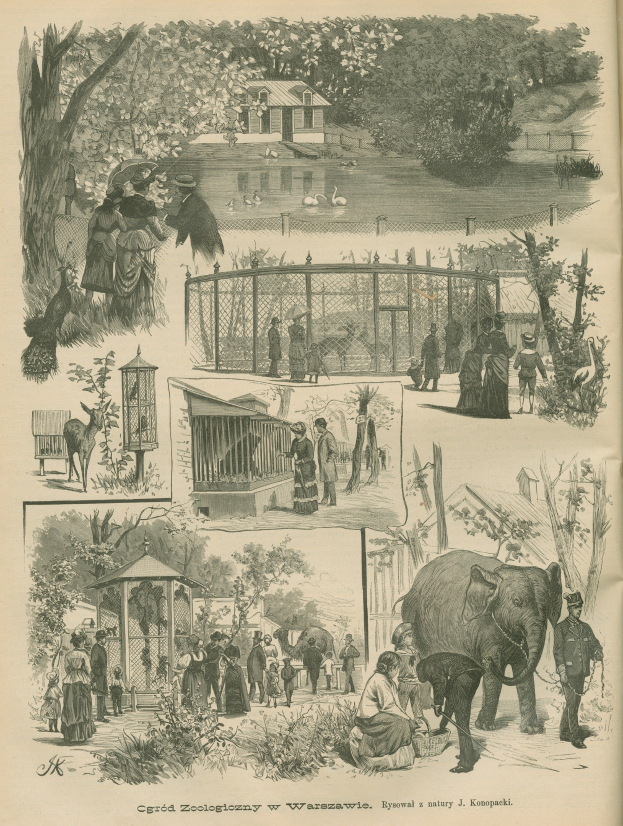 Alte Buchillustration mit Menschen und Tieren in einem Zoosetting, umgeben von Bäumen, Häusern, einem Zaun und anderen Gegenständen, mit Text unten.