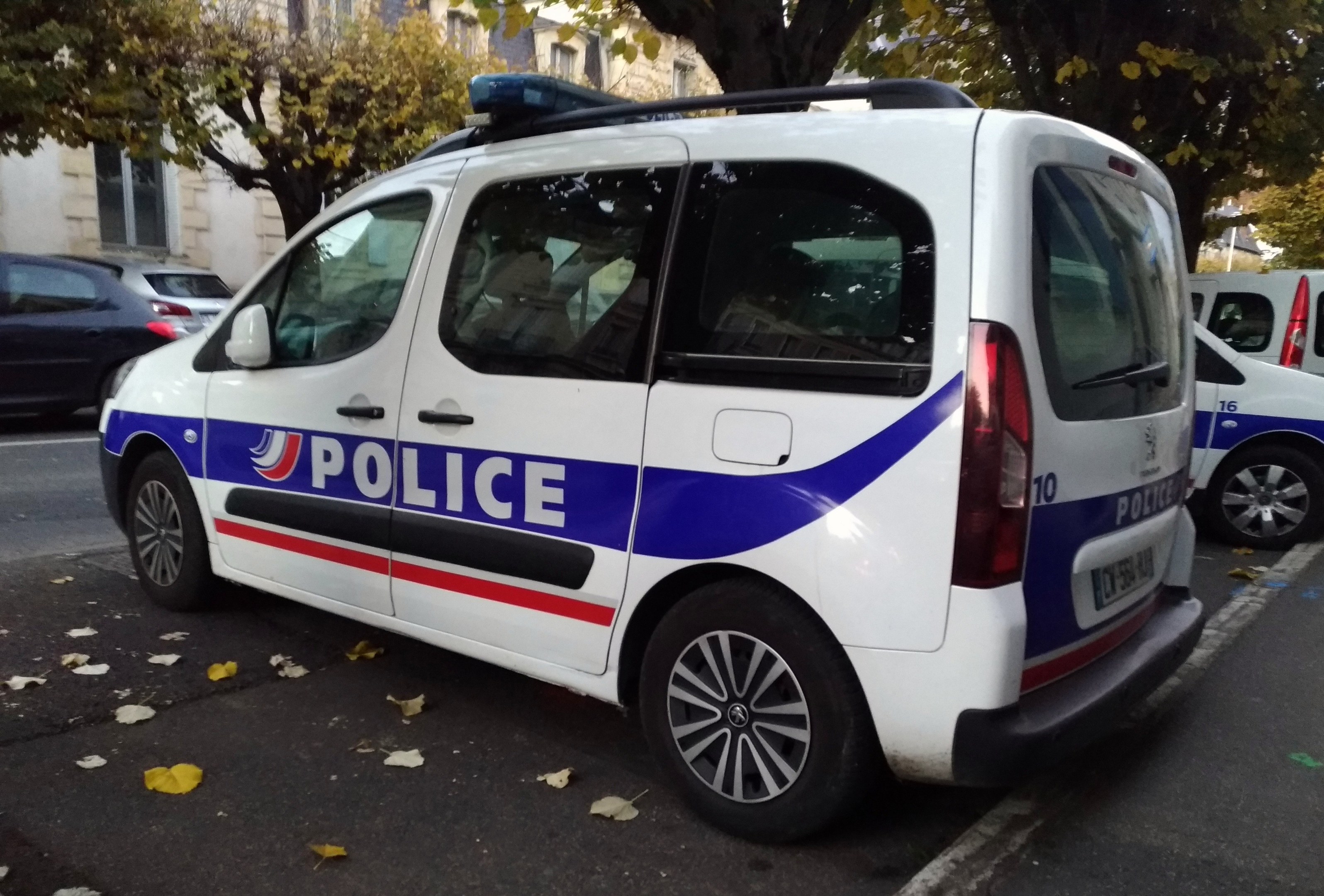 Ein Polizeiwagen auf einer Straße mit Gebäuden, Bäumen und heruntergefallenen Blättern geparkt.
