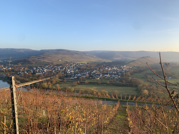 Eine malerische Aussicht auf das Rheintal von einem Hügel aus, mit grünen Blättern, Häusern und einer Brücke, die den Fluss überspannt, vor einem blauen Himmel.