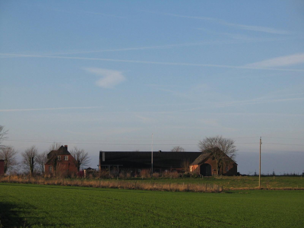 Ein Bauernhof in den Niederlanden mit einem grünen Feld im Vordergrund, einem Stall im Hintergrund, umgeben von Bäumen, Pfählen und Drähten, unter einem Himmel voller weißer, flauschiger Wolken.
