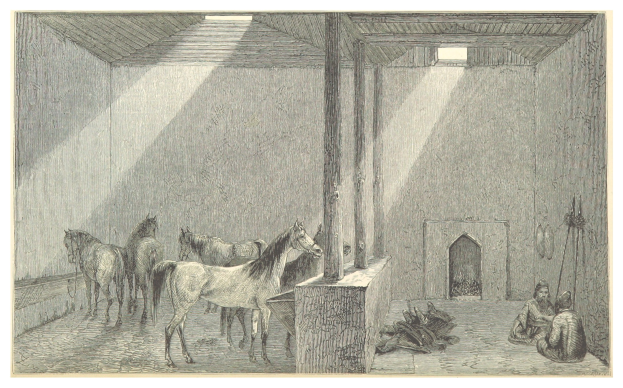 Zeichnung eines Raums mit zwei Pferden, zwei sitzenden Personen auf dem Boden, verstreuten Gegenständen und Text unten.