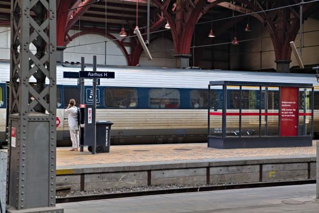 Ein Zug fährt auf einem Bahnsteig ein, auf dem eine Person in der Nähe steht, mit einem Müllcontainer, Pfosten, Informationsplakaten und Deckenleuchten.