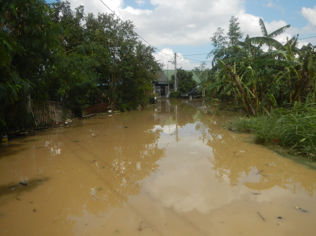 Eine überflutete Landstraße mit Wasser, das die Straße bedeckt, Pflanzen und Bäumen auf beiden Seiten und einem geparkten Auto auf der rechten Seite, mit beschädigten Häusern, Strommasten und Drähten im Hintergrund unter einem bewölkten Himmel.