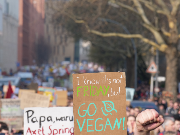 Swastika aus veganem Hackfleisch für die AfD
