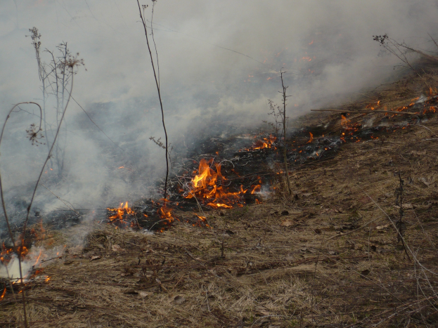 Verschreibung Feuer in einem Feld mit Rauch, der in den Himmel aufsteigt, umgeben von trockenem Gras und Pflanzen.