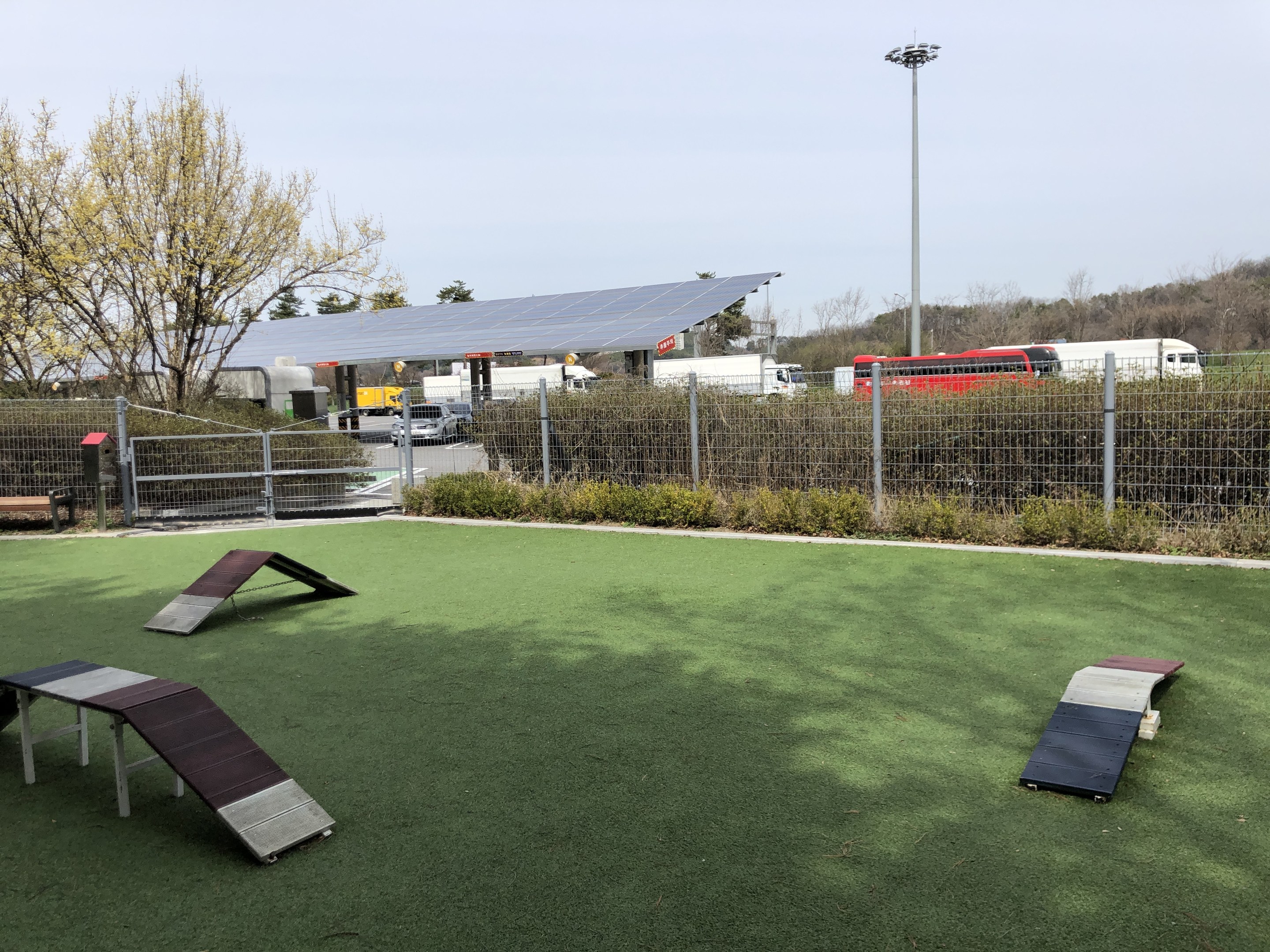 Ein eingezäunter Hundepark mit Kunstgras, Rampen und umgebender Vegetation, Fahrzeugen, Schuppen und einem Laternenmast unter einem sichtbaren Himmel.